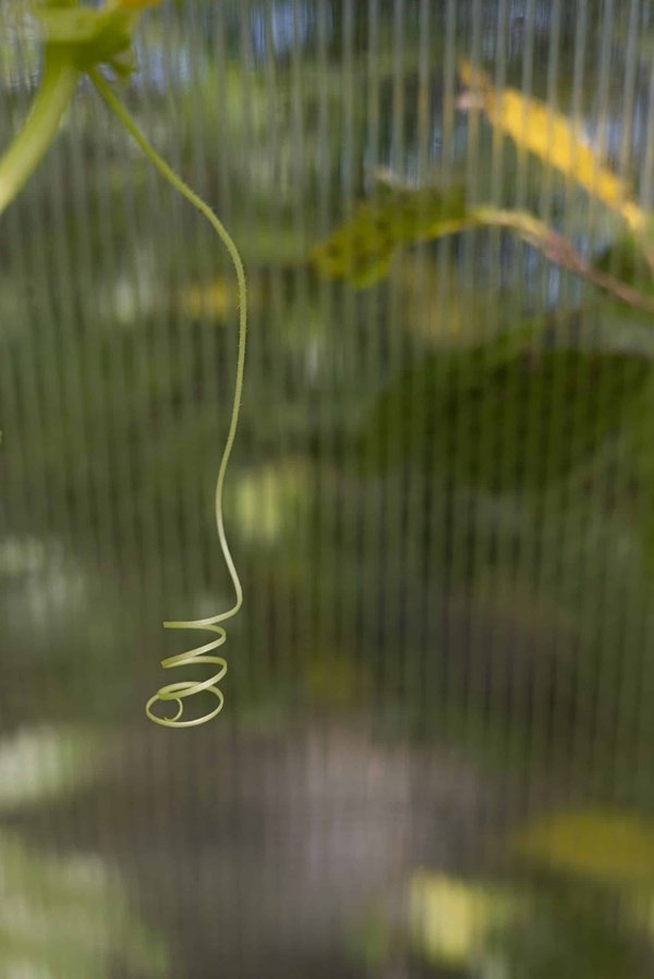 How Can Voice Recognition Software Be Adapted to Understand Regional UK Accents Accurately?